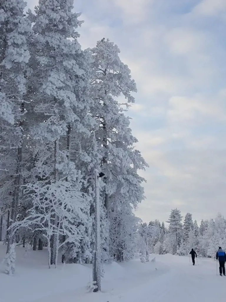 Finnland - Langlauftour von Hütte zu Hütte
